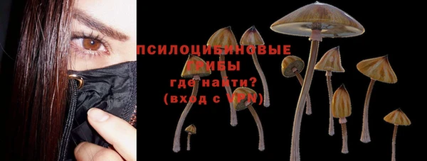 Альфа ПВП Армянск